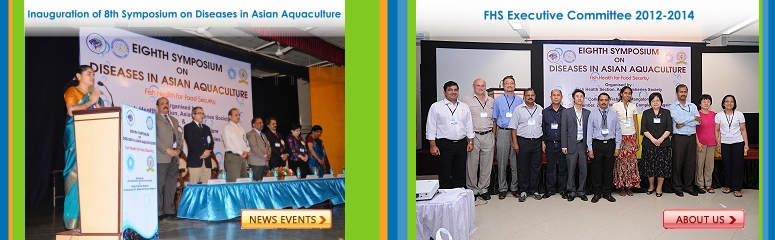 FHS-AFS